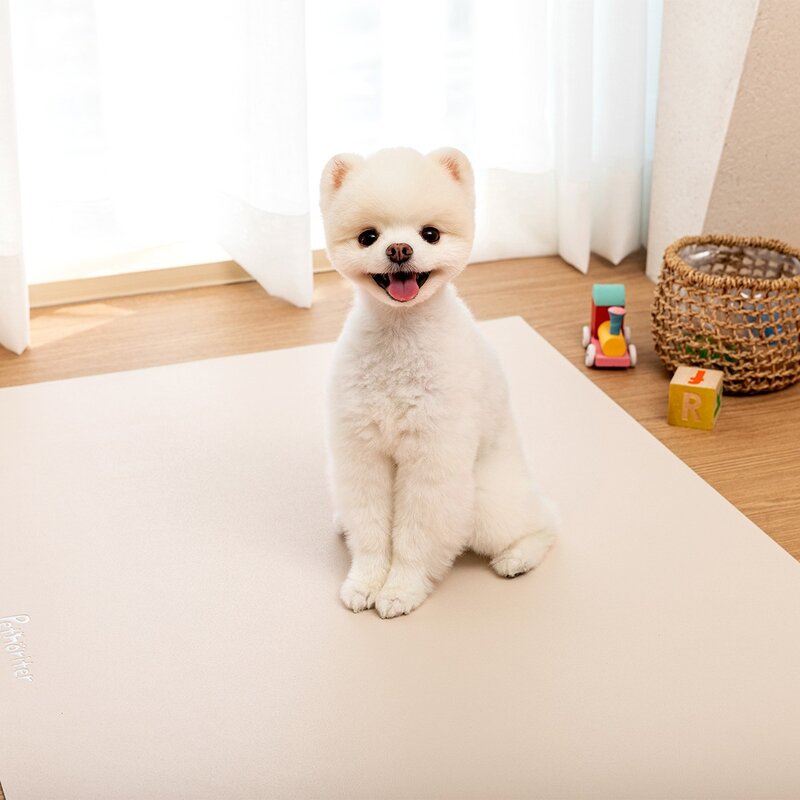 펫노리터 반려동물 논슬립 방수 배변 매트, 1개, 라떼베이지