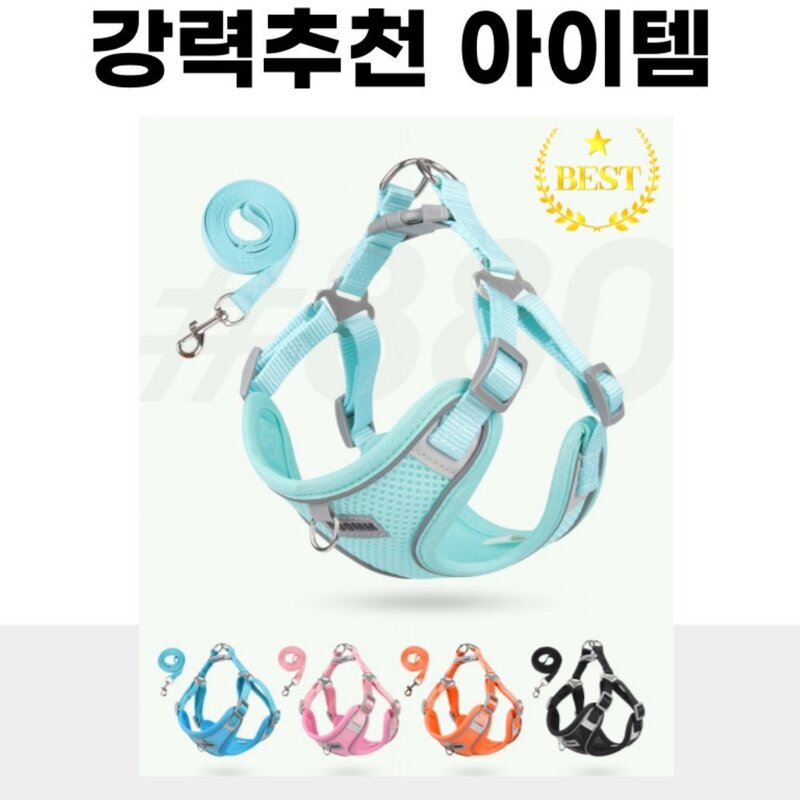 디아쿠아 강아지 고양이 겸용 야광 빛반사 메쉬 하네스+리드줄, 민트, 1개