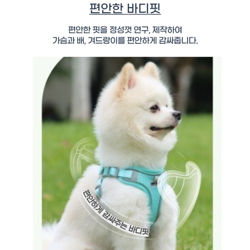디아쿠아 강아지 고양이 겸용 야광 빛반사 메쉬 하네스+리드줄, 민트, 1개