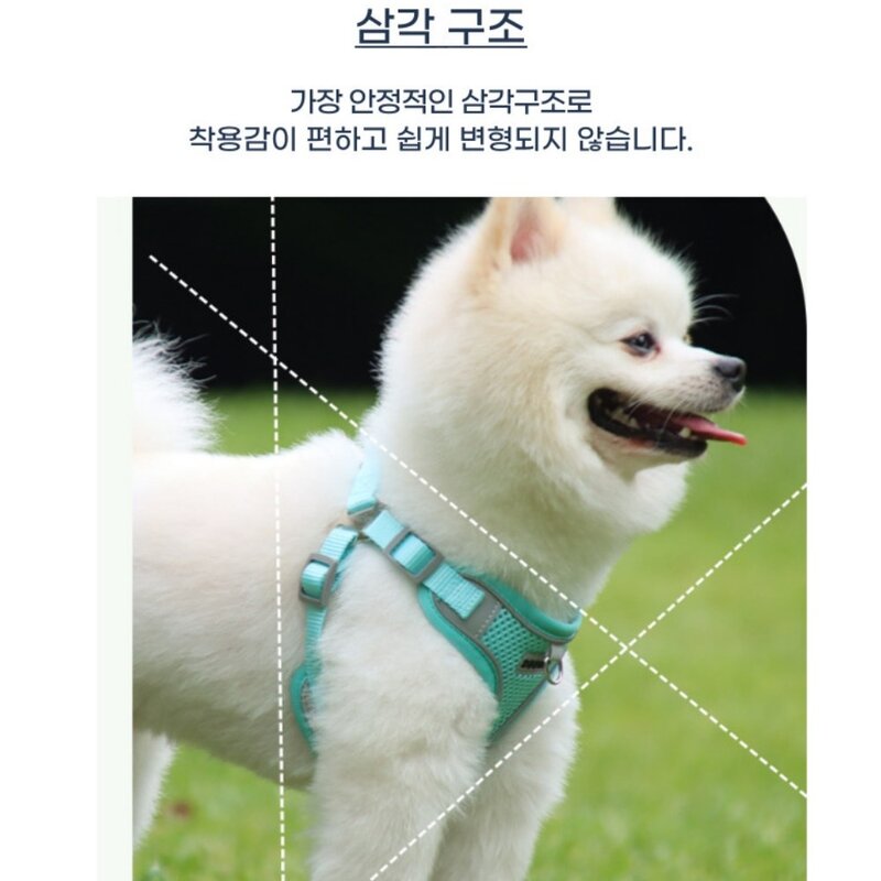 디아쿠아 강아지 고양이 겸용 야광 빛반사 메쉬 하네스+리드줄, 민트, 1개