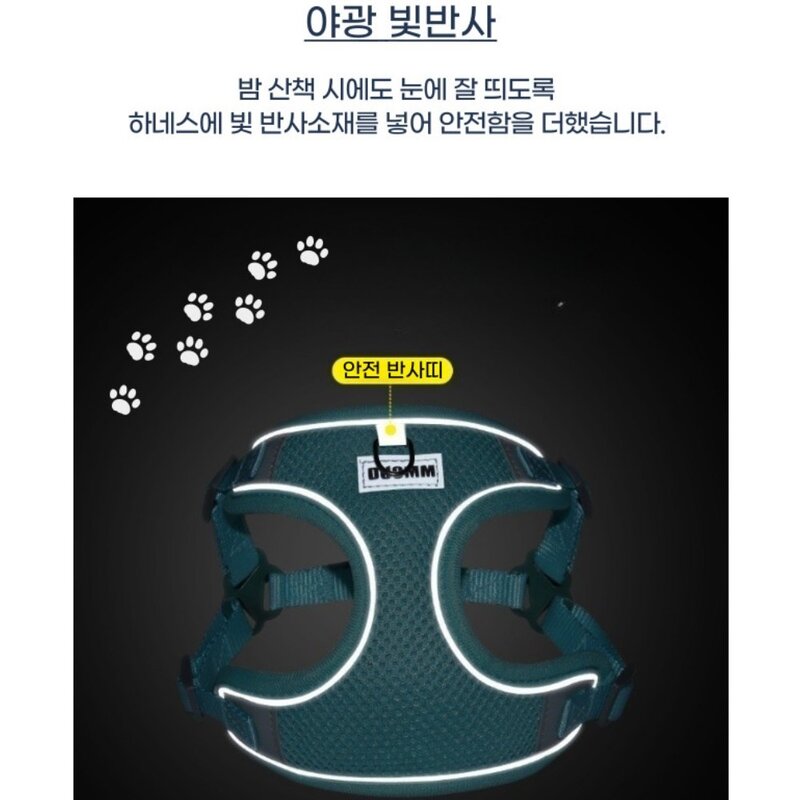 디아쿠아 강아지 고양이 겸용 야광 빛반사 메쉬 하네스+리드줄, 민트, 1개