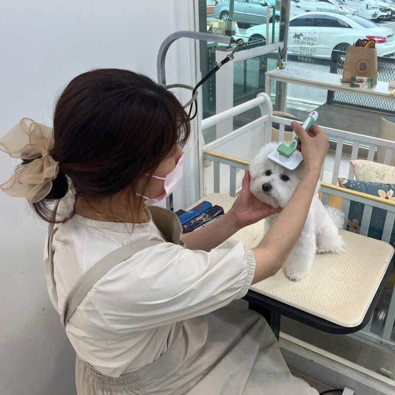 하울펫 슬리커브러쉬 고양이 강아지빗 브러쉬 슬리커, 페퍼민트그린, 1개