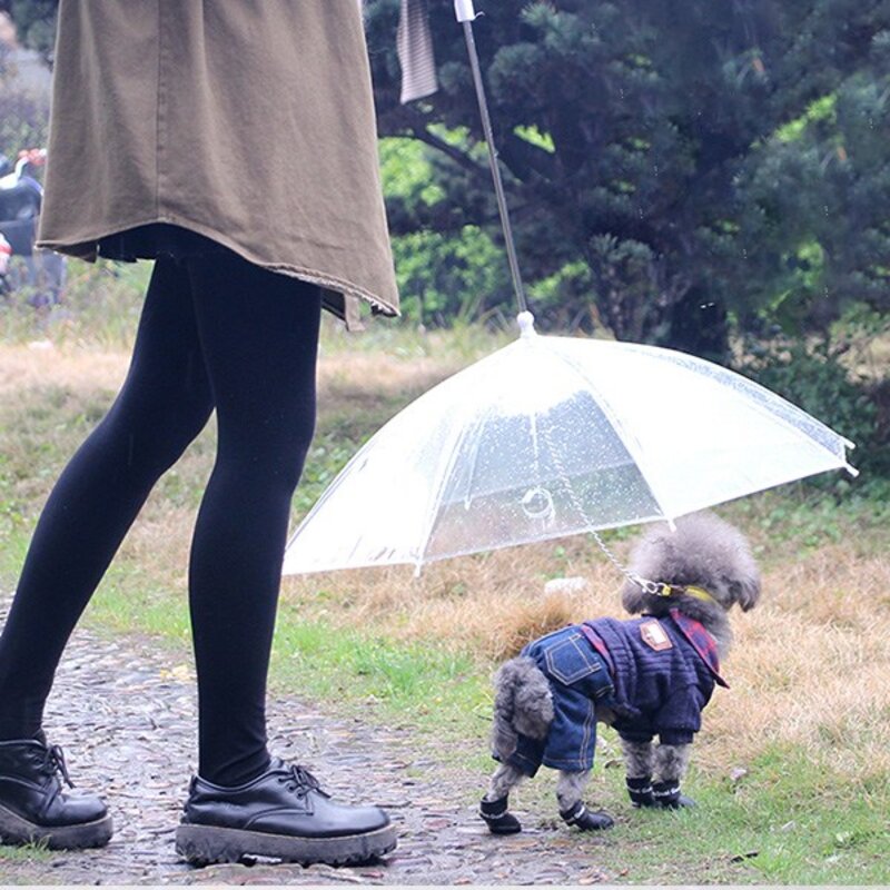 유메카 강아지 우산 장마 산책 우비, 1개