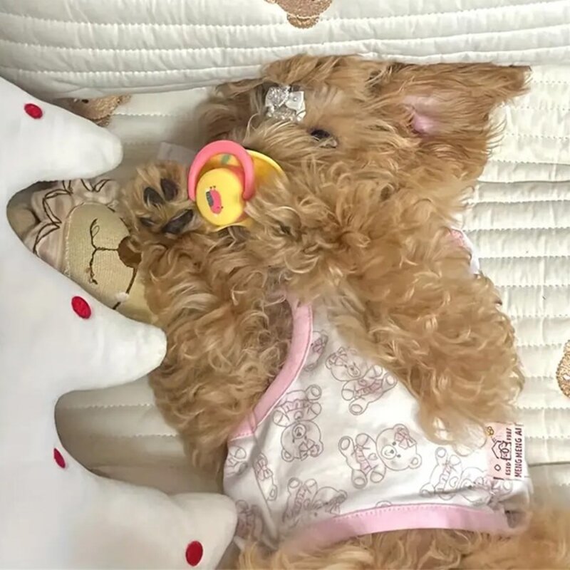아하토이 다이앤 강아지 쪽쪽이, 랜덤 발송, 2개