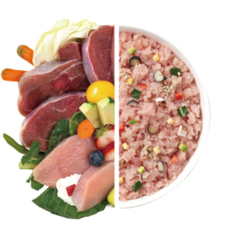 바프독 Premium TURKEY 1kg 100g x 10팩 반려견 강아지 생식 자연식 터키 단일 단백질 칠면조, 100g × 10팩, 10개