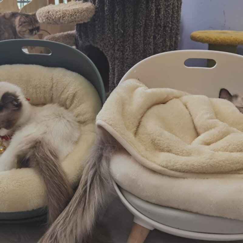 고양이 담요 작은 이불 애완동물 담요 고양이 담요 고양이 잠 겨울 보온 강아지 담요 전용 담요 매트, 브라운, M-중형(21), 1개