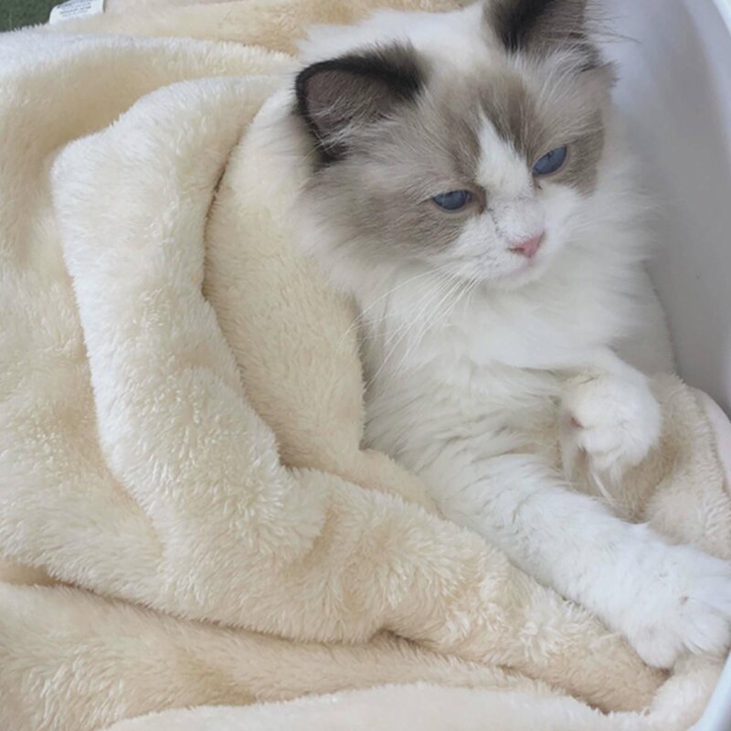 고양이 담요 작은 이불 애완동물 담요 고양이 담요 고양이 잠 겨울 보온 강아지 담요 전용 담요 매트, M-적용중형고양이(21), 보리 매트 (8cm 두께) 고양이와 개 공용, 1개