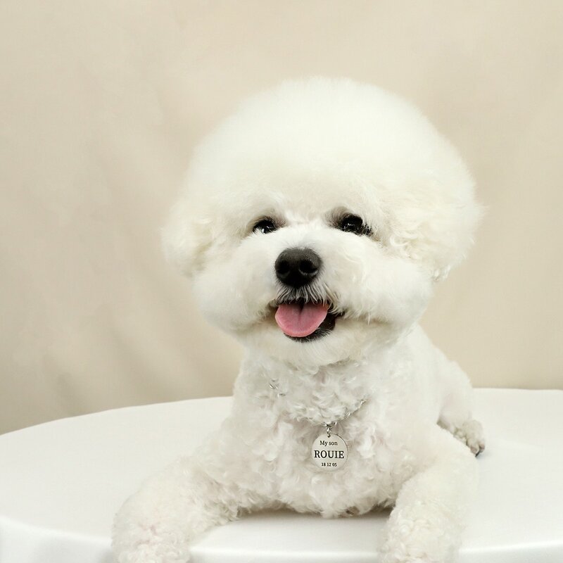 변색 없는 강아지 목걸이 인식표 고양이 이름표 써지컬스틸 탄생석, 무광 라운드 L, 기본 체인, 2번, 1개