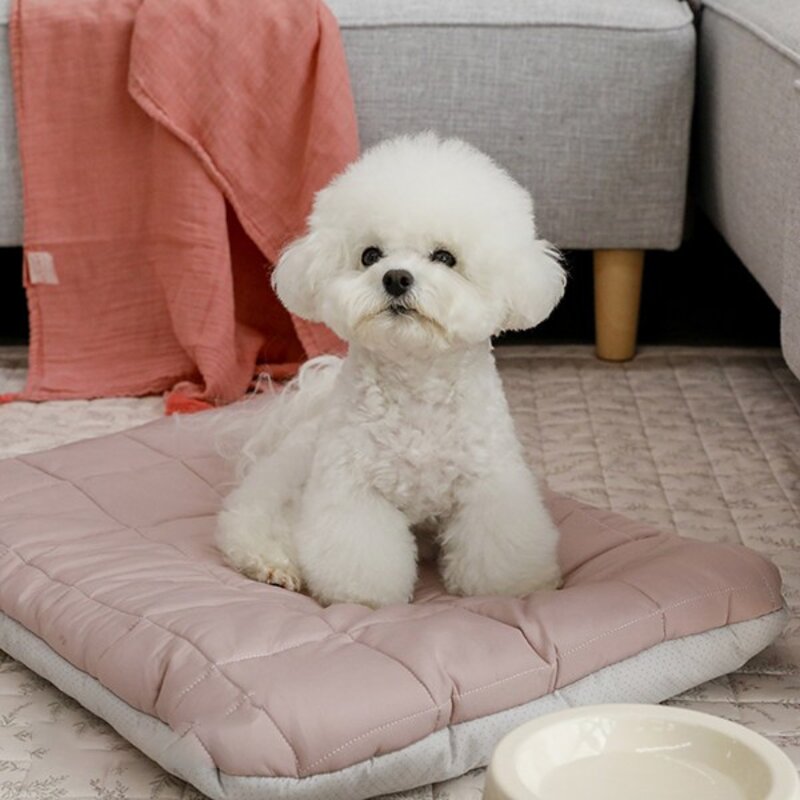 아망떼 강아지 다용도 방석, 모카, 1개