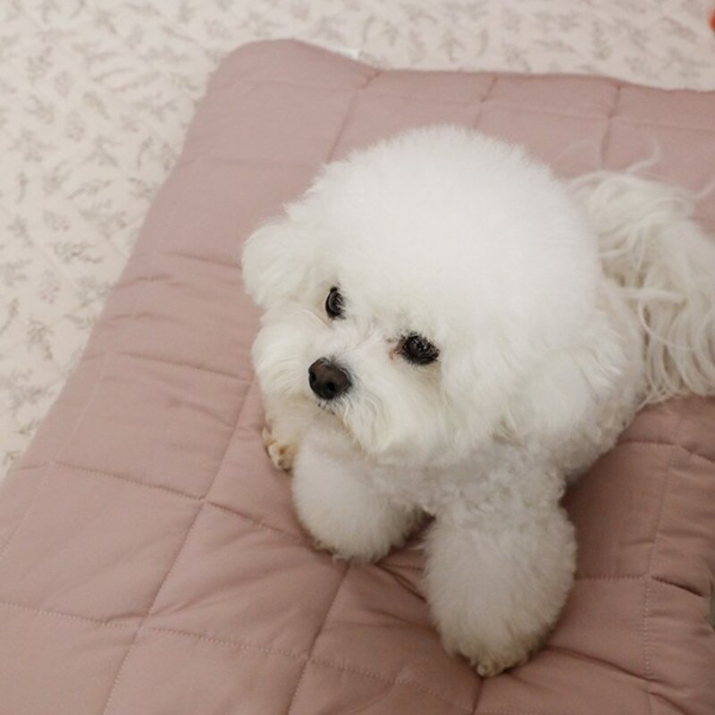 아망떼 강아지 다용도 방석, 모카, 1개