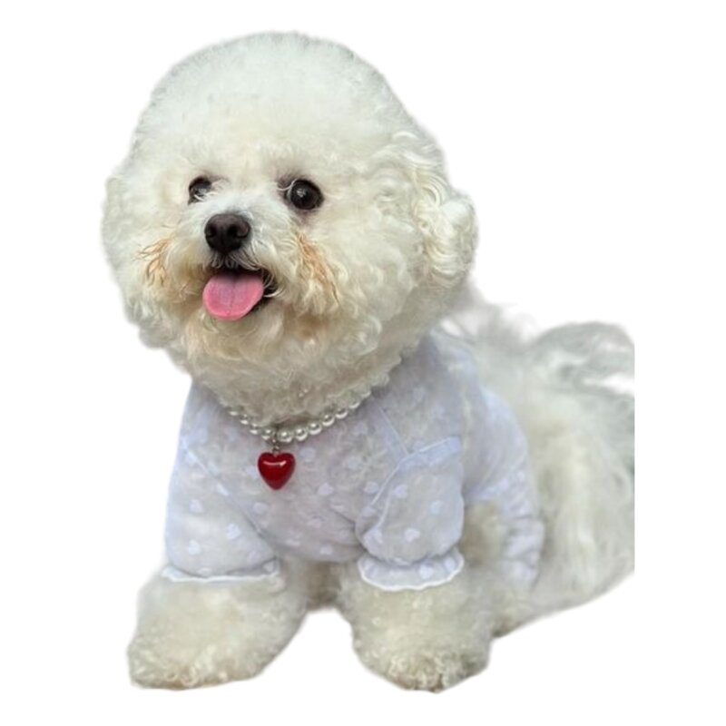 강아지 진주 하트 목걸이, 1개