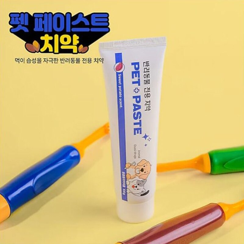 강아지 애견 고양이 펫 반려동물 냄새제거 구강관리 개치약, 1개, 100g
