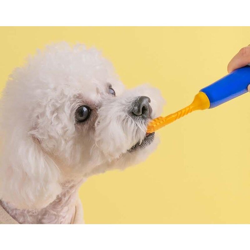 강아지 애견 고양이 펫 반려동물 냄새제거 구강관리 개치약, 1개, 100g