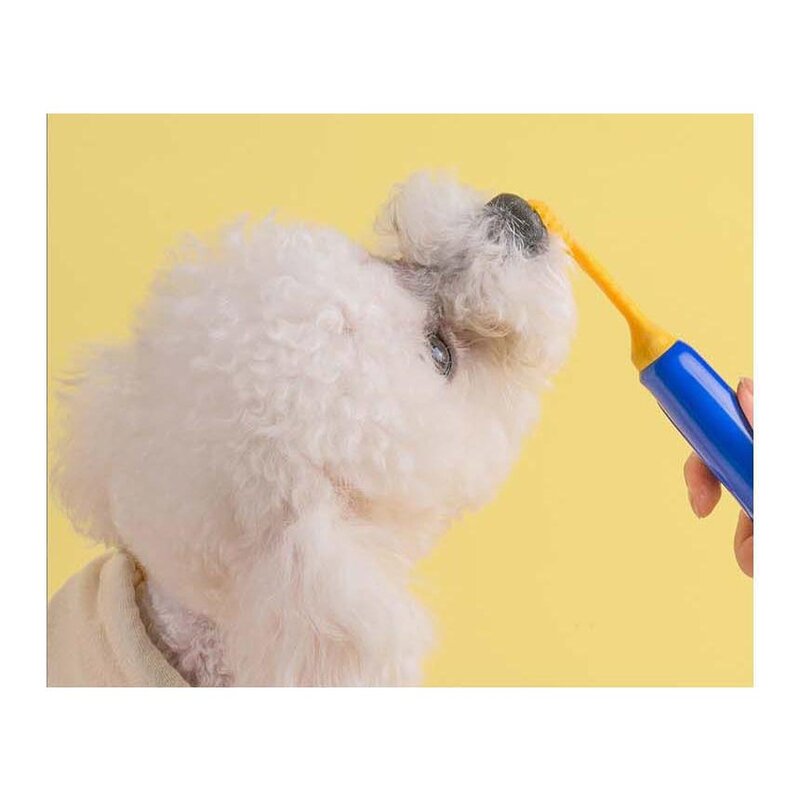 강아지 애견 고양이 펫 반려동물 냄새제거 구강관리 개치약, 1개, 100g