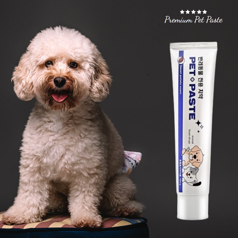 강아지 애견 고양이 펫 반려동물 냄새제거 구강관리 개치약, 1개, 100g