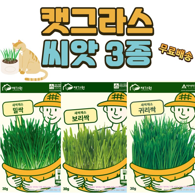 고양이풀 캣그라스 3종 밀 보리 귀리 씨앗 재배 키우기 캣글라스, 3개