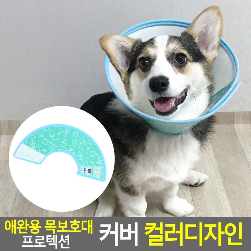 엘리자베스 카라 애견 목보호대, 사이즈, 1개