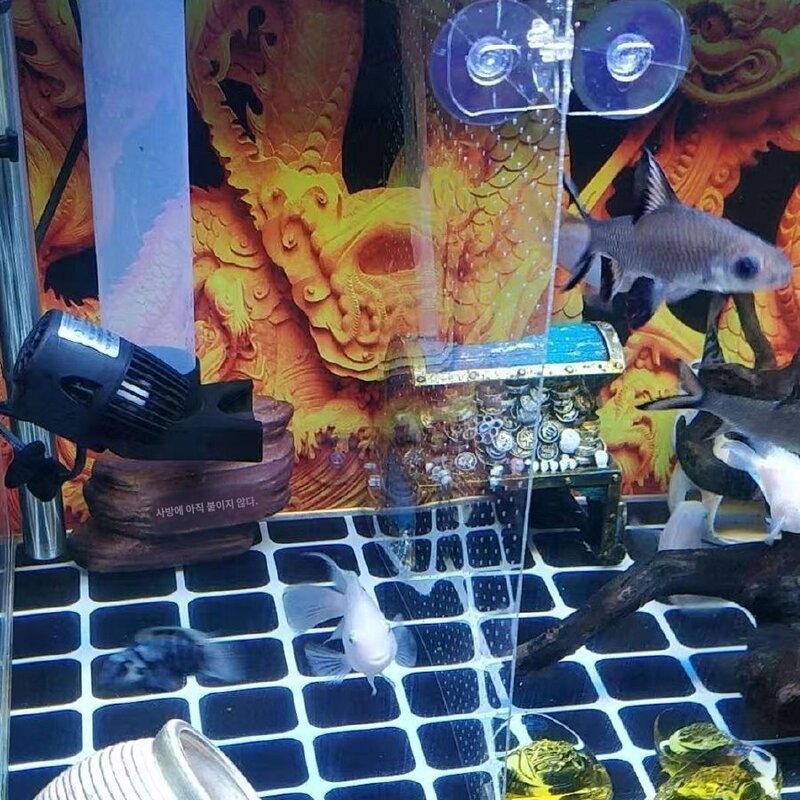 구멍 1mm 어항분리판 커팅 투명차단 공작 번식 거북이 치어 두어 열대어 부화, 투명40x80cm두께1mm홀1mm컷팅가능 빨판