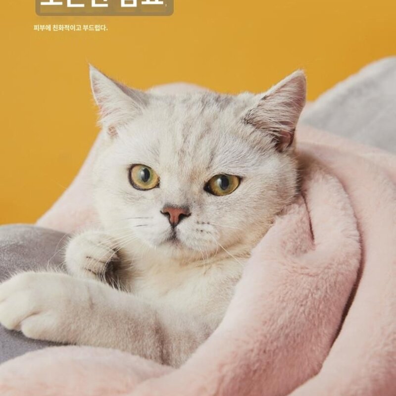 UFBemo 애견 담요 고양이 전용 담요 강아지 이불 매트 보온 중소형견 공용 수면 매트, 입체 플라워 카멜, M-70x100cm, 1개