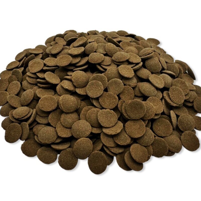 아쿠아테라 싱킹와퍼 플레코 안시 전용 관상어사료, 1000ml, 500g, 1개