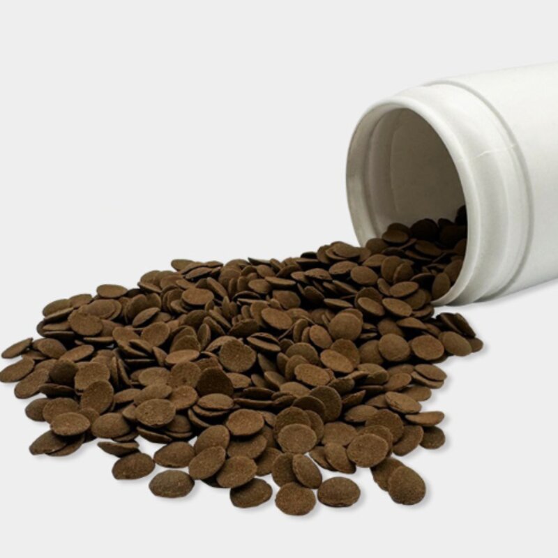 아쿠아테라 싱킹와퍼 플레코 안시 전용 관상어사료, 1000ml, 500g, 1개