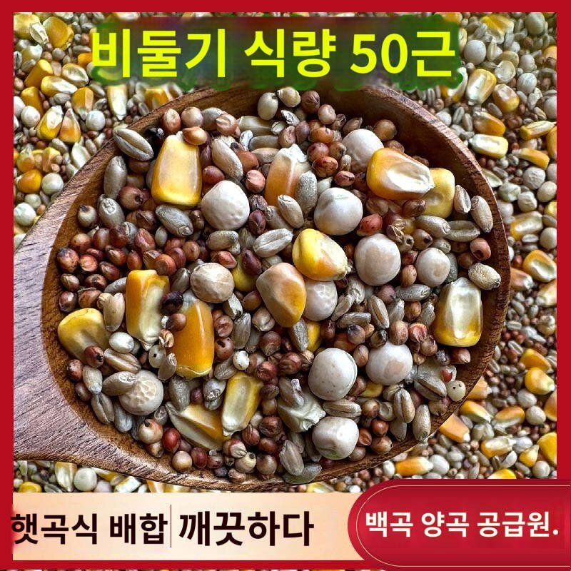 내구성 사료 디자인 용이성 먹이 닭 사료 보관함, 25006ml, 1개