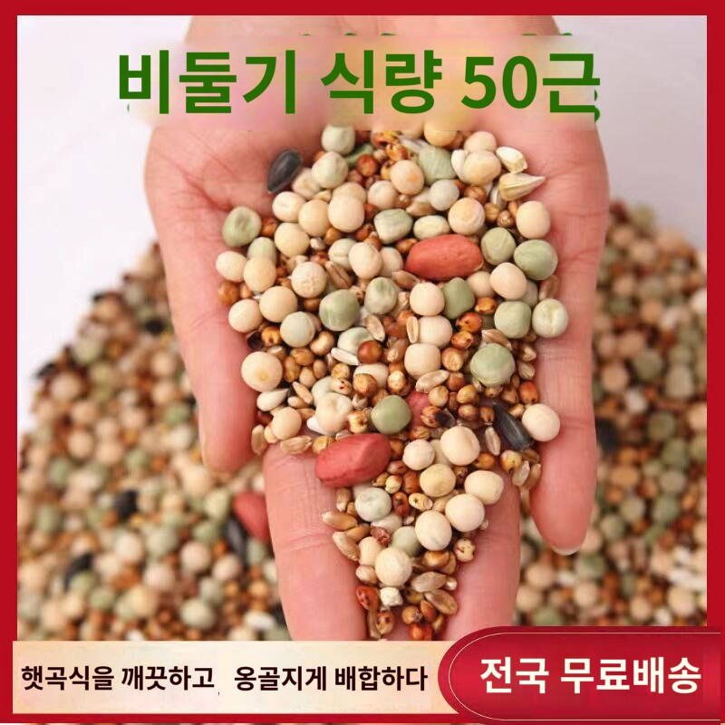 내구성 사료 디자인 용이성 먹이 닭 사료 보관함, 25006ml, 1개
