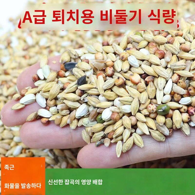 내구성 사료 디자인 용이성 먹이 닭 사료 보관함, 25006ml, 1개