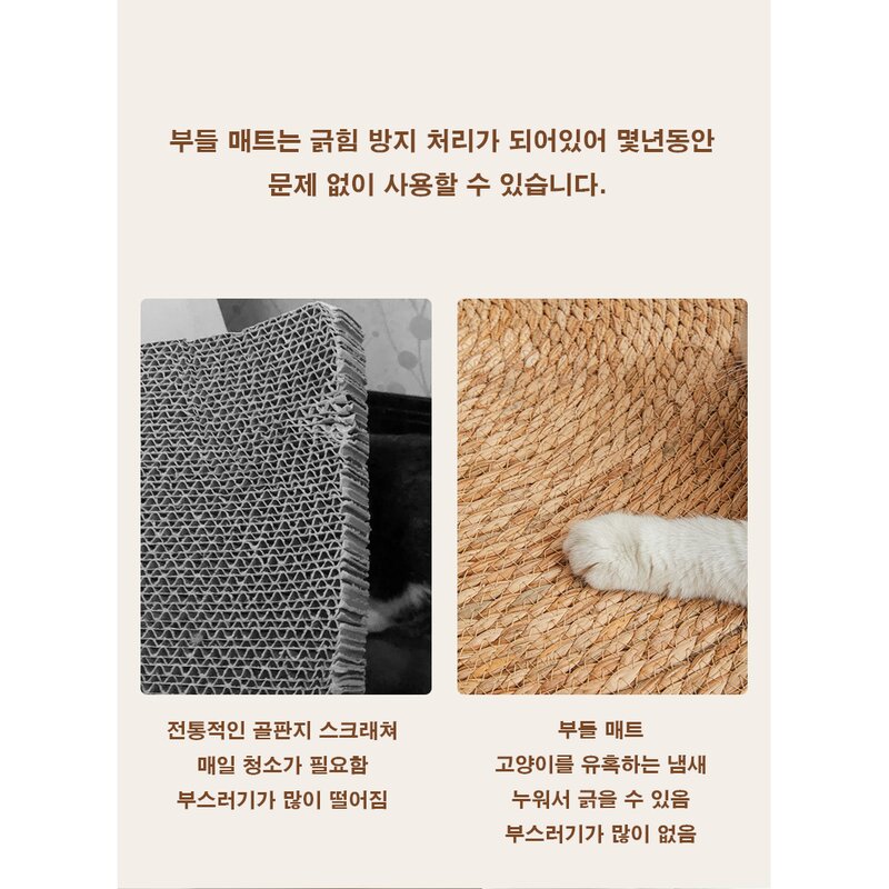 친환경 부들 스크래쳐 고양이 양탄자 부들매트, 1개