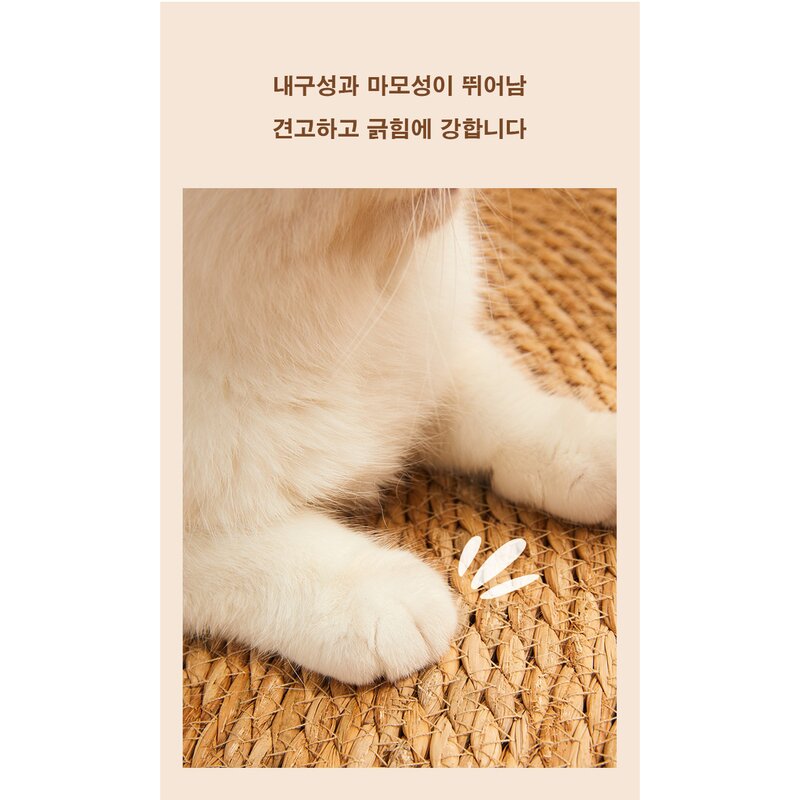 친환경 부들 스크래쳐 고양이 양탄자 부들매트, 1개