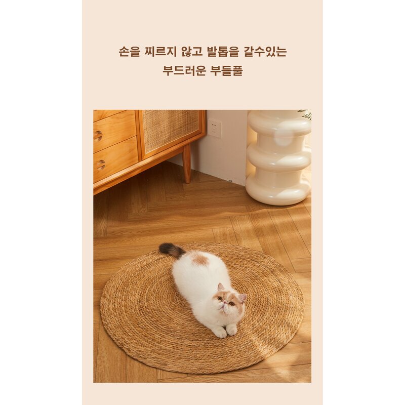 친환경 부들 스크래쳐 고양이 양탄자 부들매트, 1개