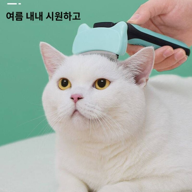 다양한 내구성 애완동물 이발기 가성비 다용도의 편안한, (얇기만 하고 제모는 안 함) 납작한 빗살 트, 1개