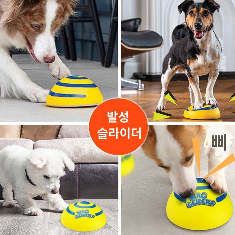 강아지 프리스비 발성완구 강아지전용 프리스비 자화자찬 대형견 프리스비 답답함 해소신기, 강아지 비행접시가, 1개