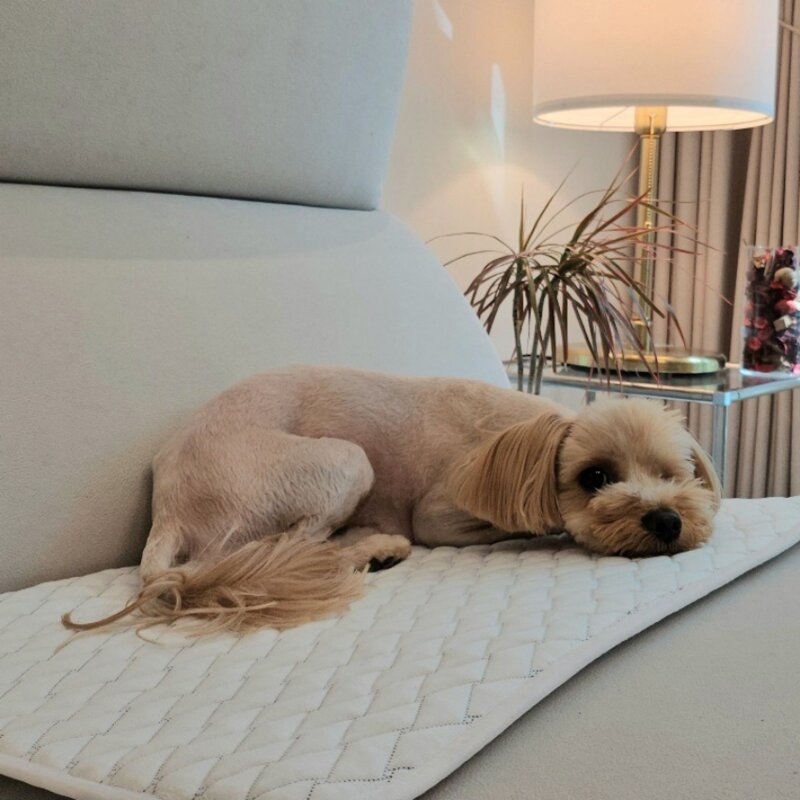 반려동물 욕창 예방 방지 매트 매트리스 강아지 고양이, 1개