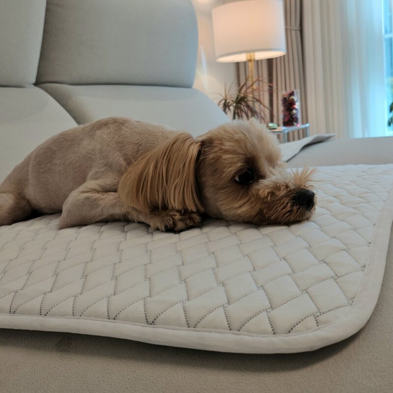 반려동물 욕창 예방 방지 매트 매트리스 강아지 고양이, 1개