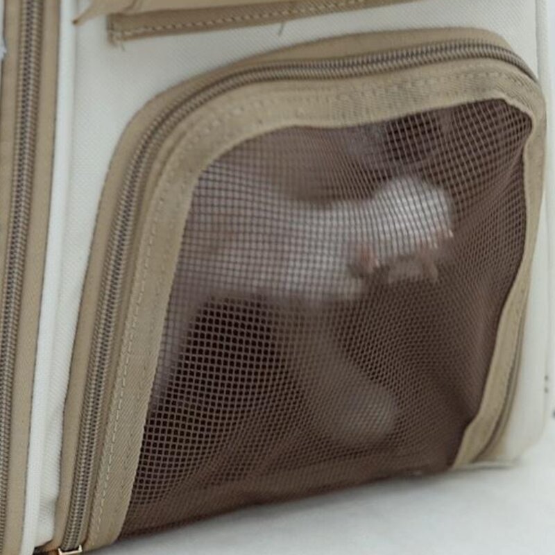 이고진 반려동물 돌보리 올커버 이동가방, 그레이, 1개