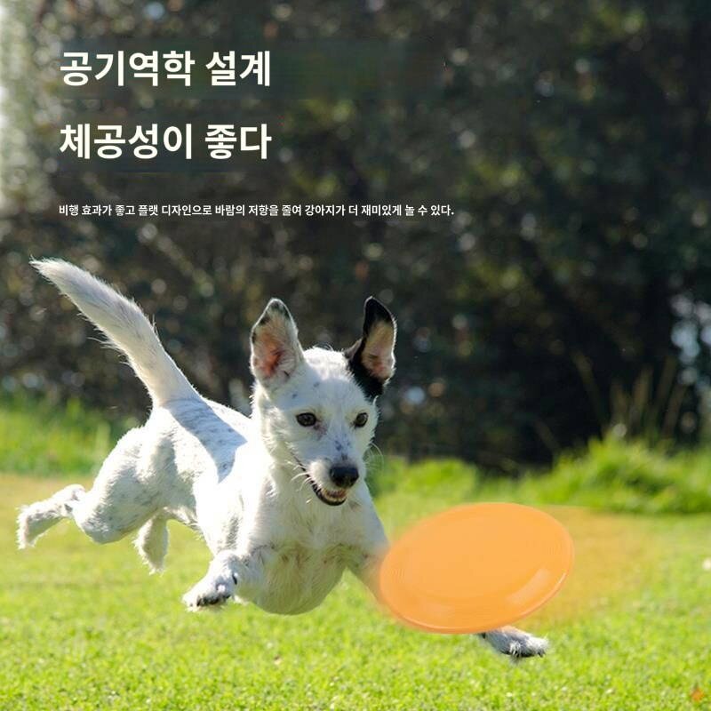퍼피 원반 장난감 물기 강한 야외 훈련 퍼피 원반 골든 리트리버 테디 전용 중소형 애완견, (하늘색 프리스비 미디엄 사이즈) 중형견이랑, 1개