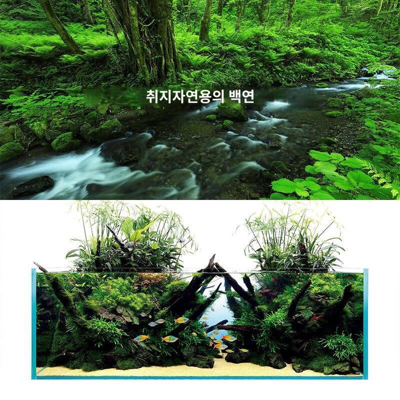 어항바닥모래조경장식사수초식물원생계류석포바닥모래모래모래모래우림바닥모래, 남미 우림모래(5근)24mm (남미 플레이어형, 1개