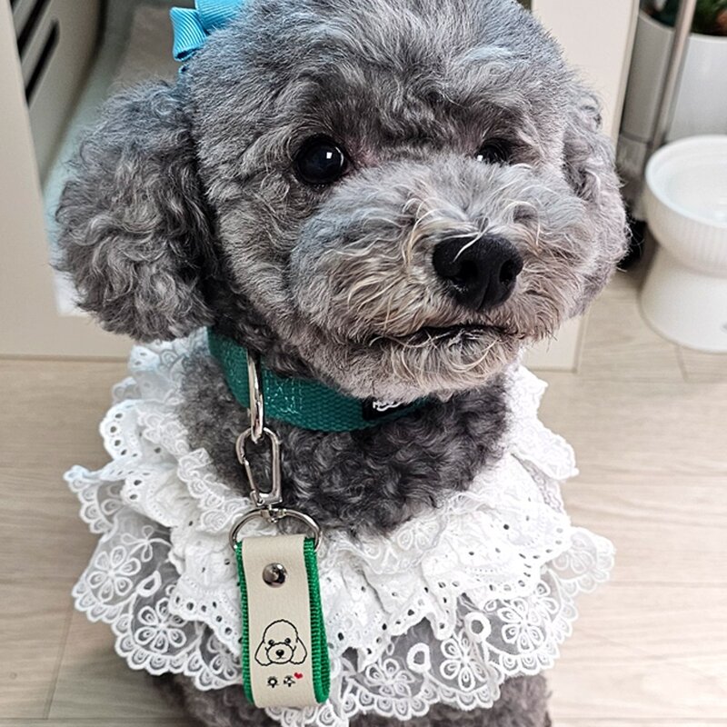 반려동물 인식표 강아지 반려견 애견 고양이 이름표 목걸이 주문제작, 13.핑크, 1개