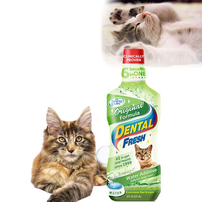 고양이구강청결제 양치 덴탈 후레쉬 물에 섞는 치약, 없음, 1개, 237ml