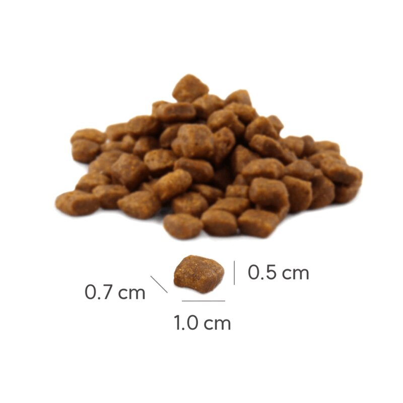 플래티넘 고양이 미트 크리스프 어덜트 캣 치킨 사료, 400g, 1개, 닭