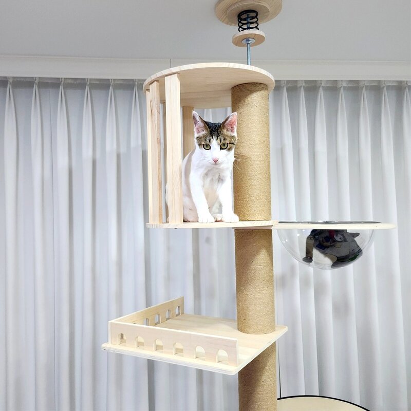 마아 고양이 원목 6단 캣폴 캣타워 마끄럼방지 대형스탭, 1개, 혼합색상