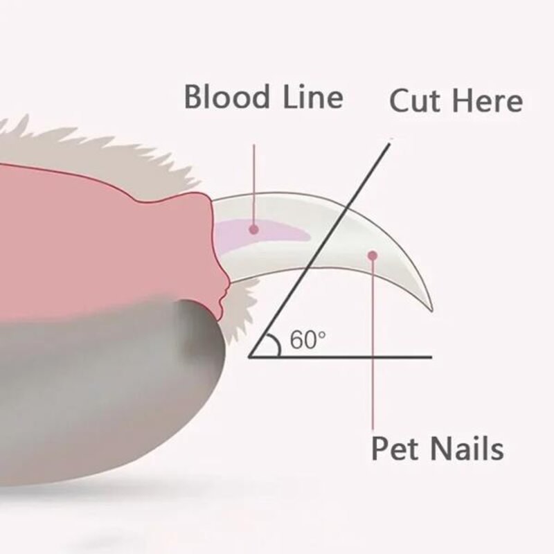 반려동물손톱깍기 개 고양이 작은 동물 발톱 트리머 애완 공급 Led 조명 손질 가위가있는 전문 손톱깎이, [01] A, 1개