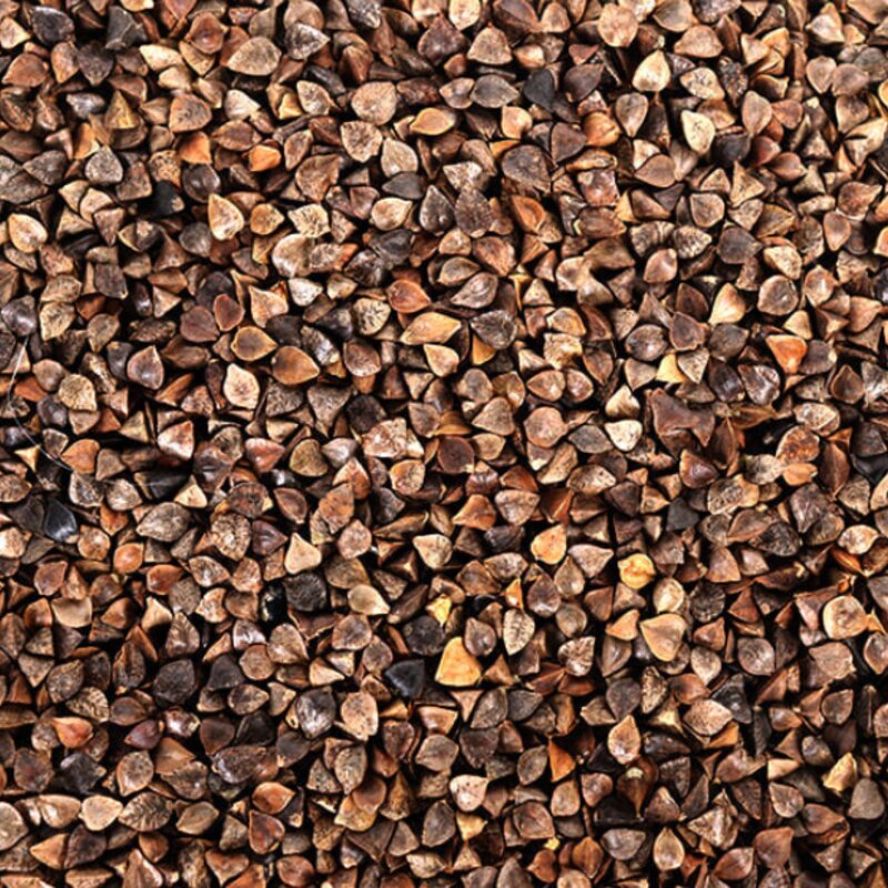 키워쥬 조류 프리미엄 세척 볶음 개별 알곡 메밀, 500g, 1개