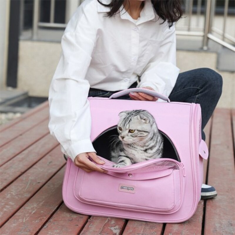 유판 반려동물 고양이 강아지 가방 5070, B 블루