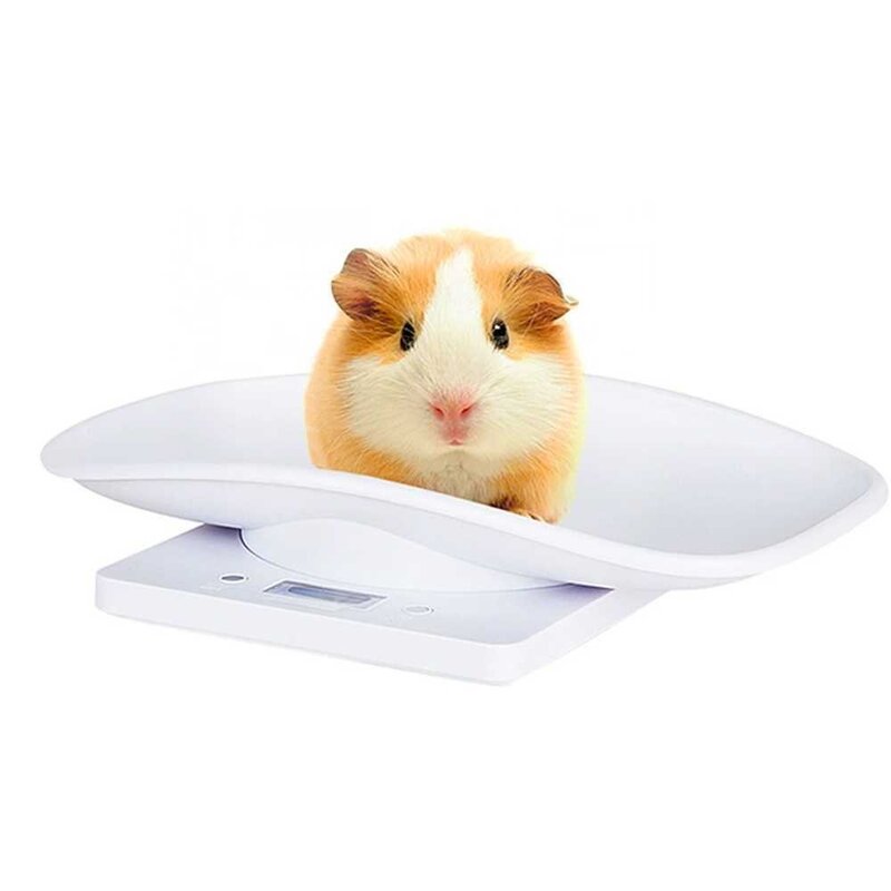 강아지체중계 체중계 반려동물 소형 애견 채중계 전자, 소형 애완동물 (1g-20kg), 상세 페이지 참고