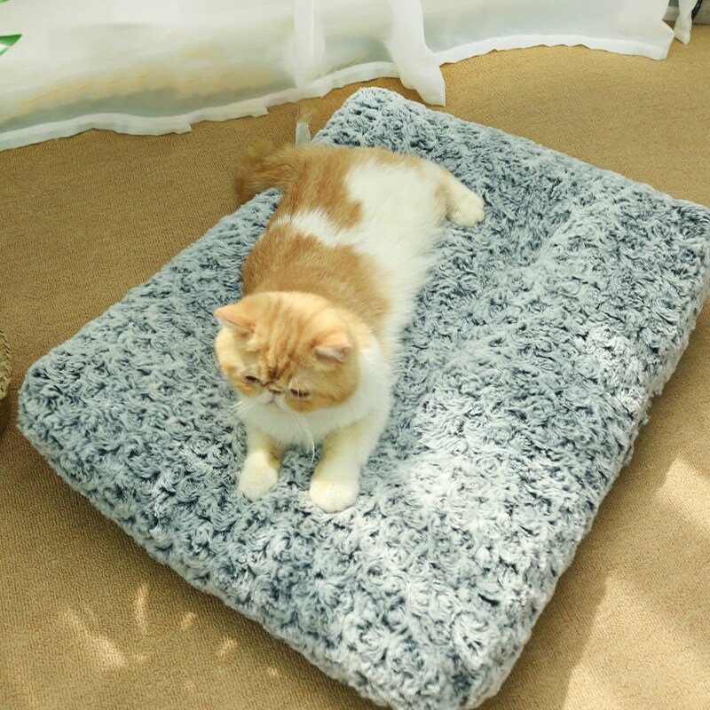 순잠 반려동물 푹신푹신 수면쿠션, 네이비, 1개