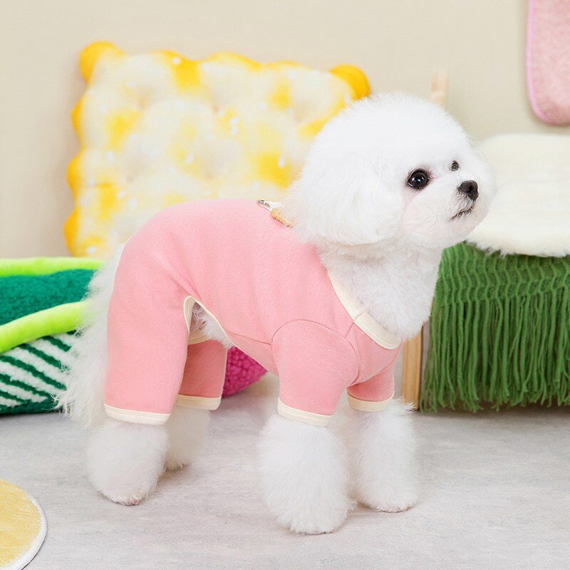 랜보어 반려동물 컬러 베어 올인원, 블루, 1개