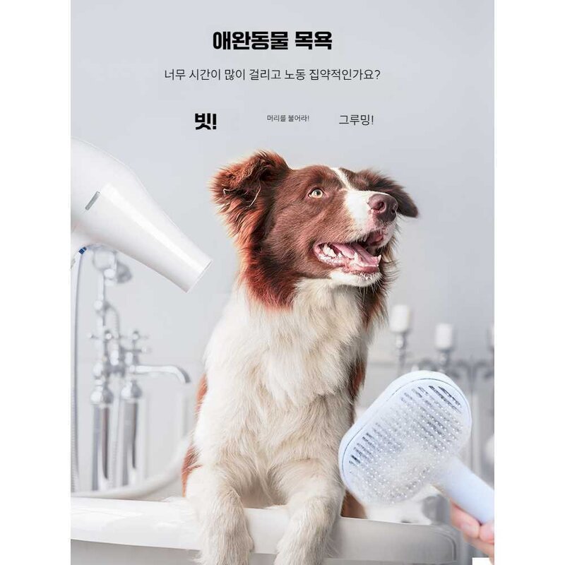 THE AHI 강아지드라이기 펫드라이기 드라이어 대형견, 화이트 블로우 빗+발 면도기 민트, 1개