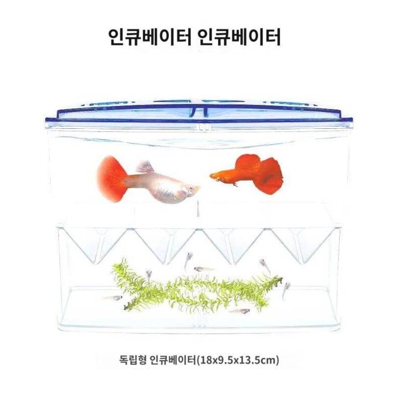작은어항 분리함 관상어 번식함 구피 산란관 부화함 투인원 분리 투어항, 독립부화사육함